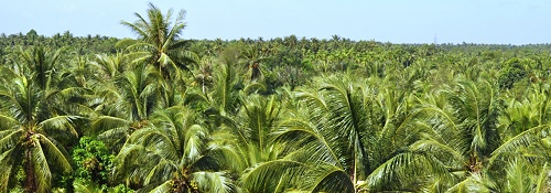 Ben Tre